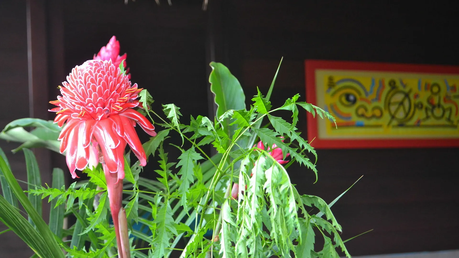 Holiday home Piton Bungalows Deshaies